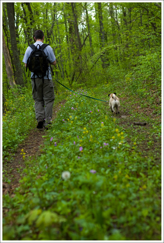 We brought the dog along.