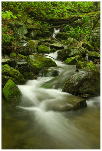 Dry Run is pretty after substantial rain