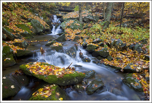 Autumn at Dark Hollow