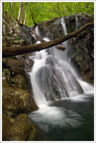 A new log is resting on the crest of the falls