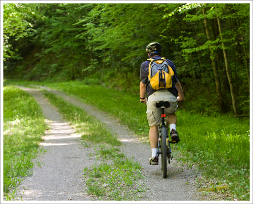 Biking Along