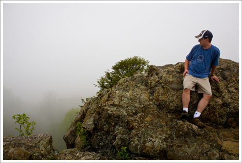 What a view view blog