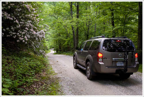 Route 826 gets progressively rougher.