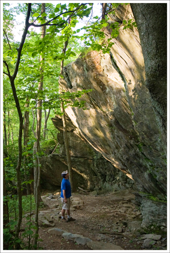 This giant rock wall can be found on the descent along the Frasier Discovery Trail