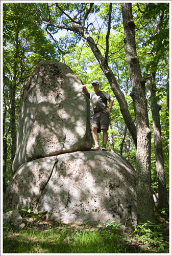 This appeared to be a popular campsite.