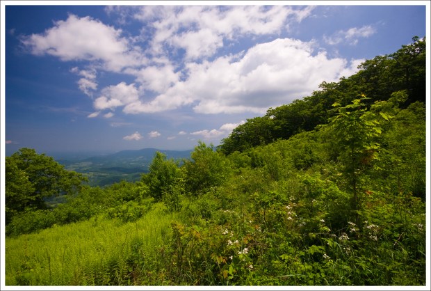The saddle between Little Hogback and Hogback is very pretty The saddle between Little Hogback and Hogback is very pretty