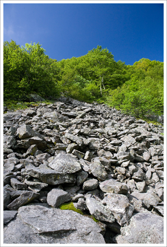 This is the talus slope where we first spotted the peregrine falcons.