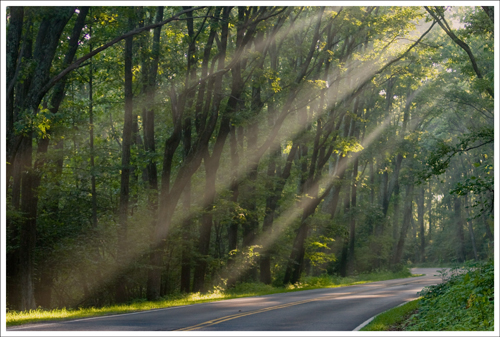 Sunrays along Skyline Drive. The park is always quiet and beautiful in the early morning.