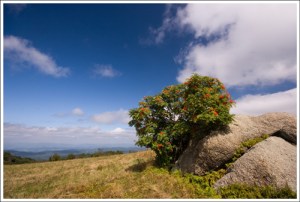 cold mountain summit_8