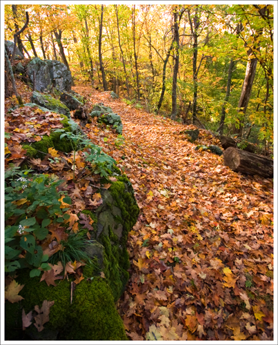 The trail was covered with fall leaves.