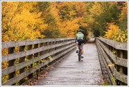Virginia Creeper Whitetop To Damascus Virginia Trail Guide
