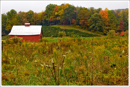 There are so many beautiful farm and stream scenes along the trail.