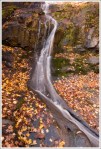 The water was low in Jones Run Falls