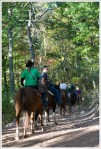seneca rocks horses