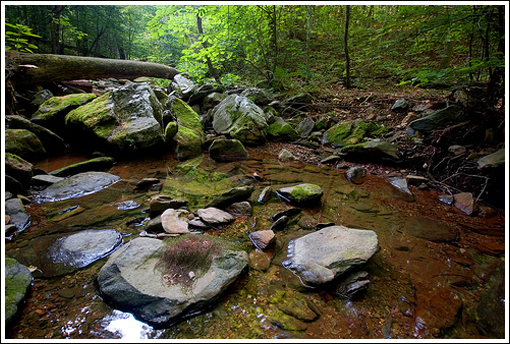 Big Run was prettier last summer. Big Run was prettier last summer.