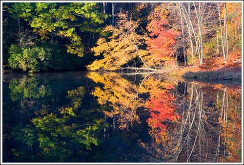 The foliage along this hike was much prettier in 2007.