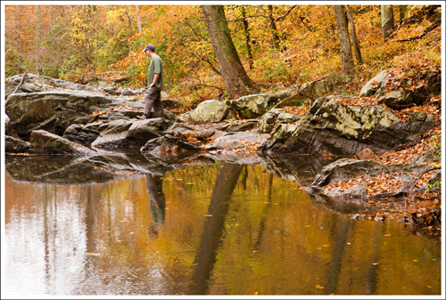 Quantico Creek in the fall.