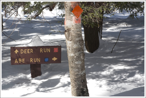 Trail Junction Abe Run, Mill Run and Deer Run create a series of interconnected loop trails.