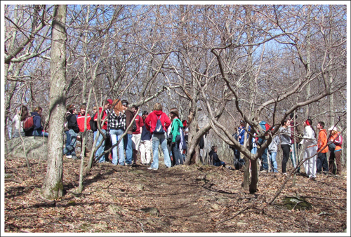 The Dreaded Youth Group