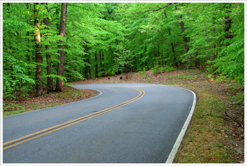 Prince William Forest Park Prince William Forest Park