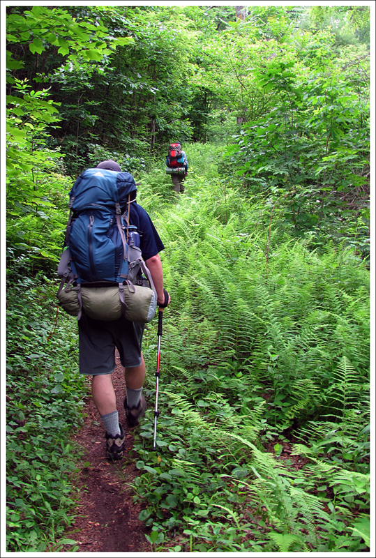 On the Hazel Mountain Trail