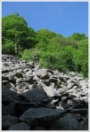 Talus Slope on Hawksbill