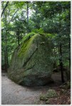 Glacial Erratic