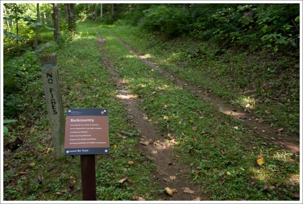 Simmons Gap Fire Road