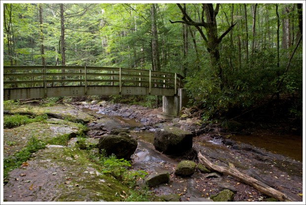 Bridge Over Hills Creek