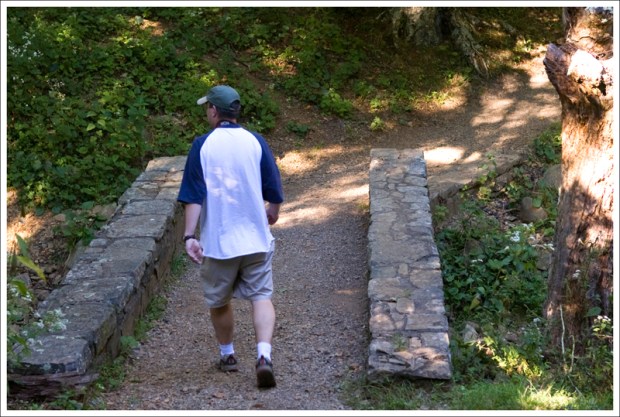 Small Bridge Across the Hog Camp Branch