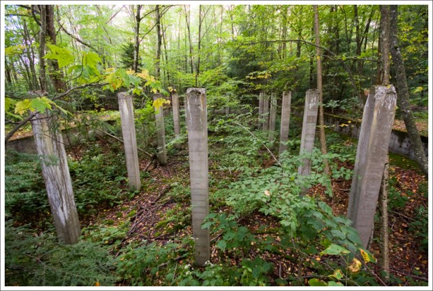 Ruins on the Thomas Reserve Trail