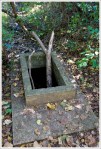 Old boxed spring on the Fox Hollow Trail
