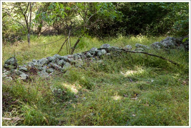 Old stone wall in Fox Hollow