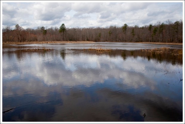 Reflections on Beaver Lake