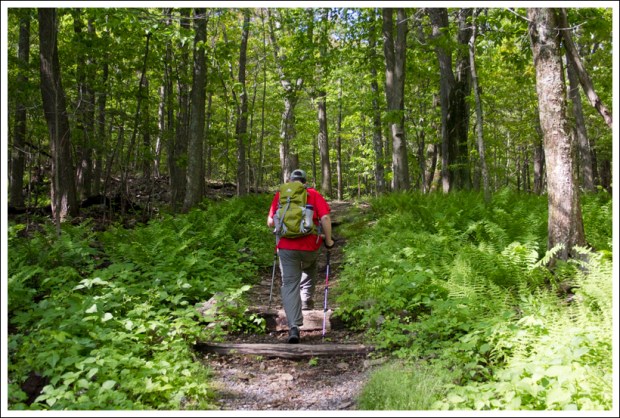 Adam Makes His Way Up the Trail