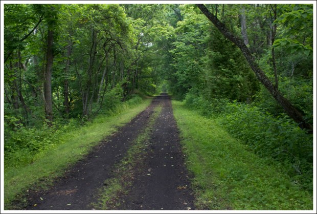 A Look Down the New River Trail