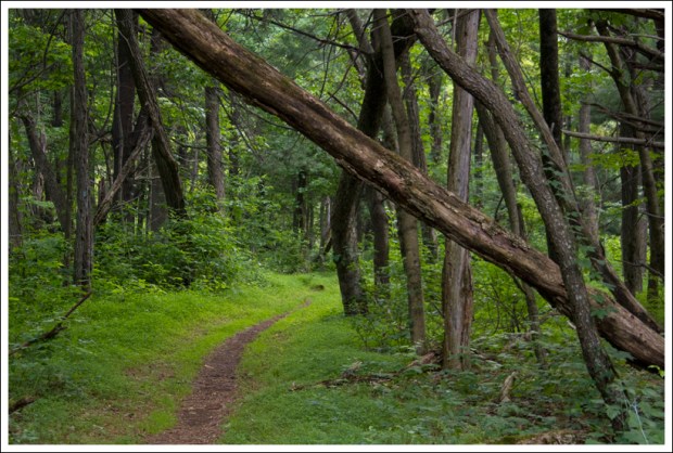Path to Pass Mountain Hut