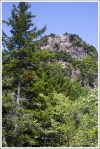 The Beehive