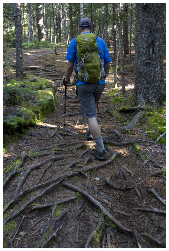 Root-Covered Trail