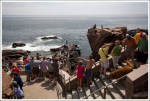 Crowds at Thunder Hole