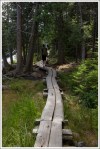 Boardwalks along Jordan Pond