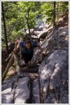 Climbing the Spring Trail