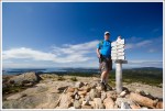 Penobscot Summit