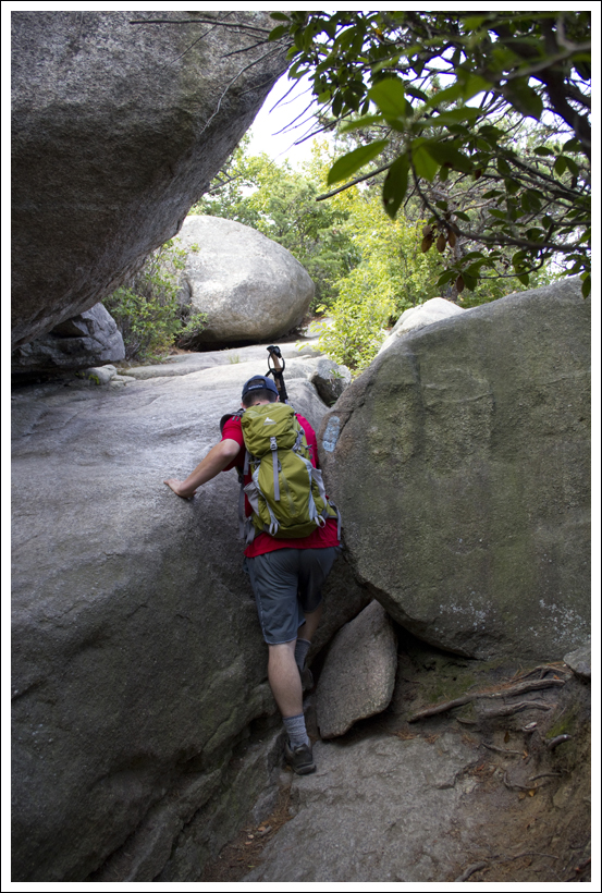 The Scrambling Begins