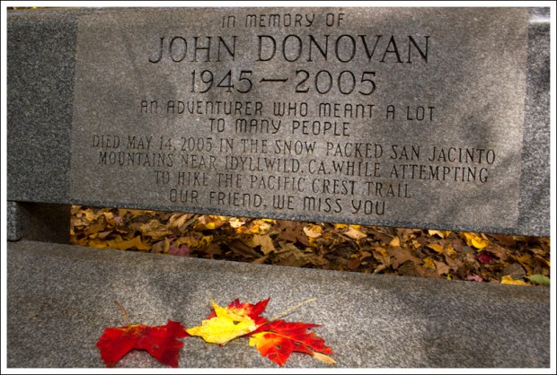 John Donovan Bench