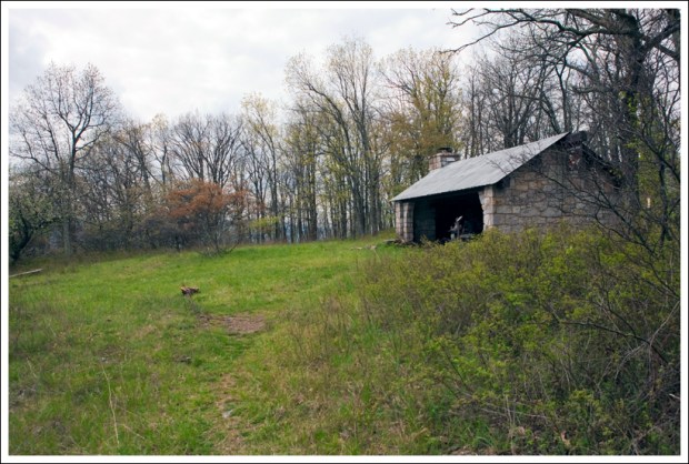 Another View of Byrd's Nest