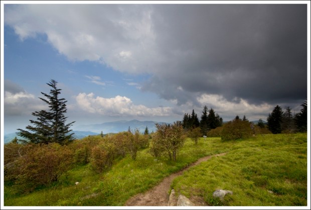 Andrew's Bald Andrew's Bald