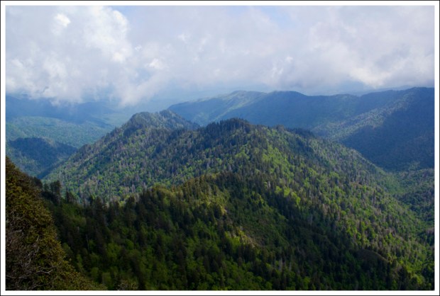 View from The Jump Off View from the Jump Off