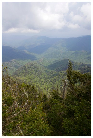 View from the Appalachian Trail View from the Appalachian Trail