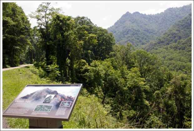 A View of Chimney Tops from the Road